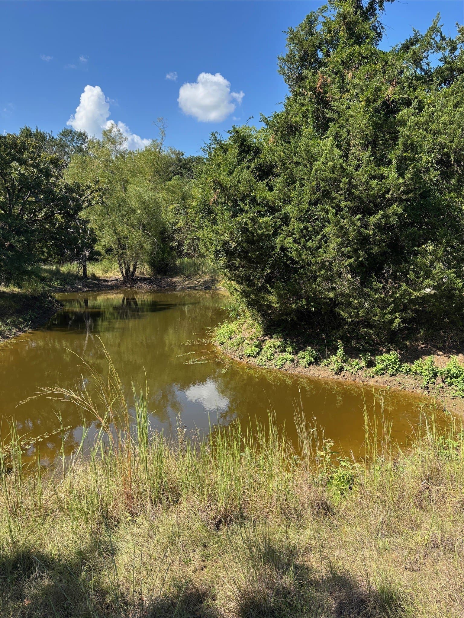 15.16 acres in Hunt County - photo 17
