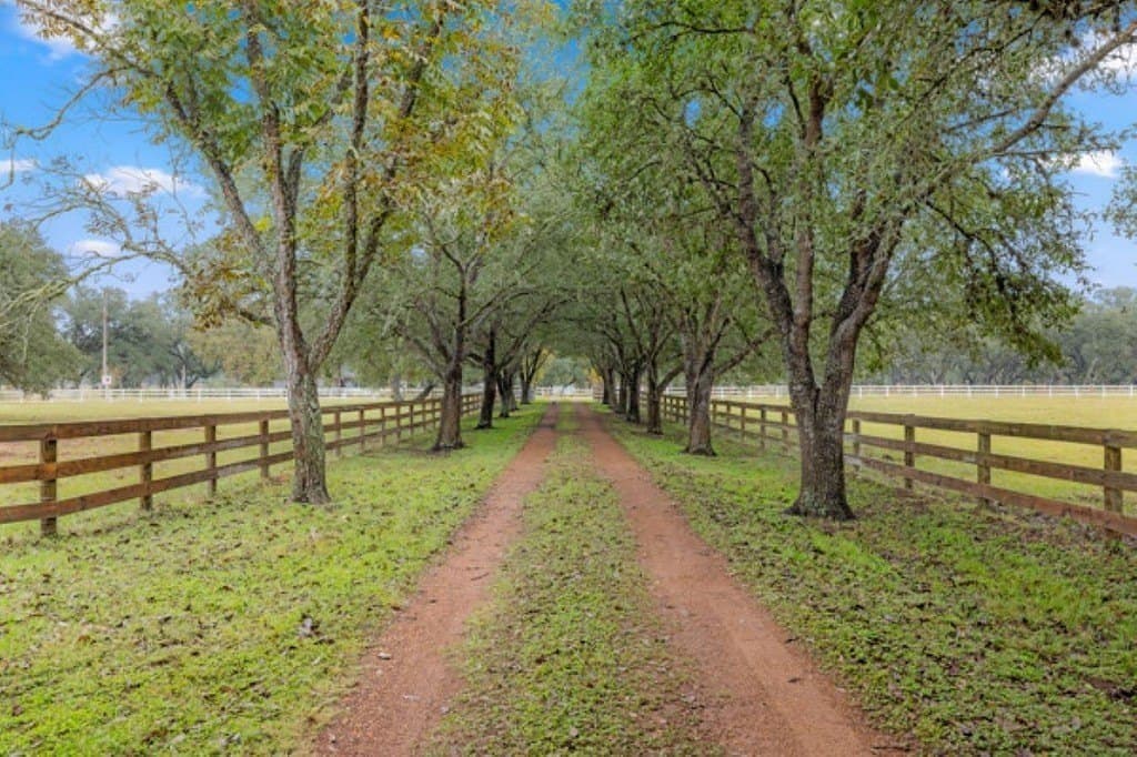 59 acres in Colorado County gallery image 4