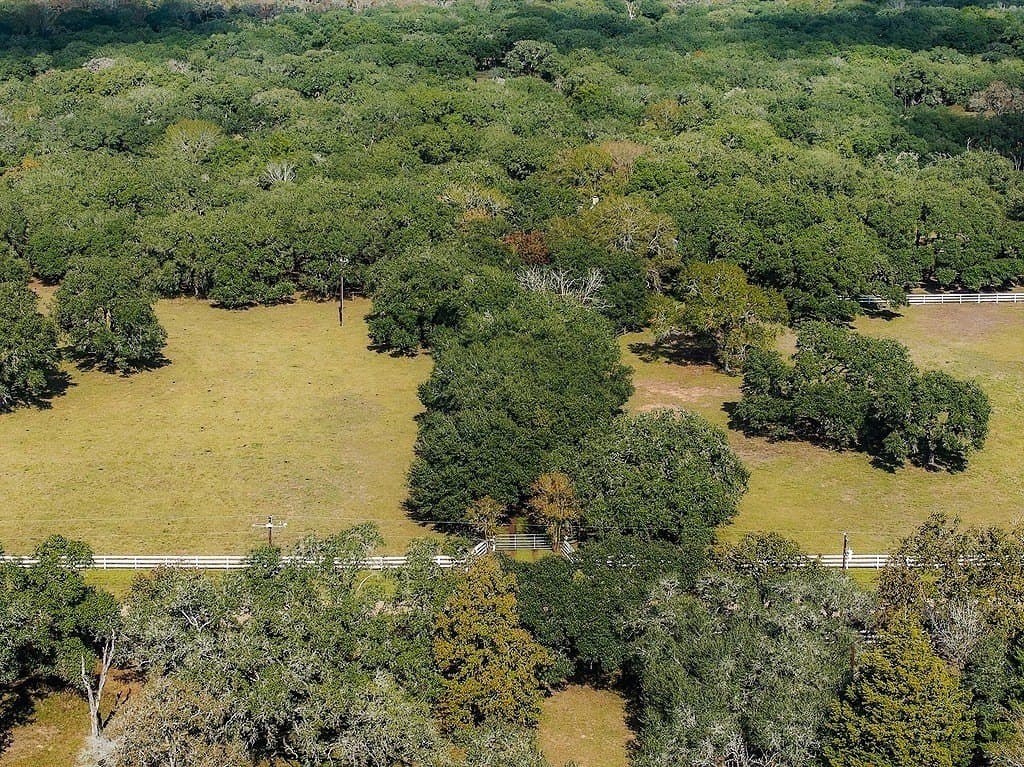 59 acres in Colorado County - photo 26