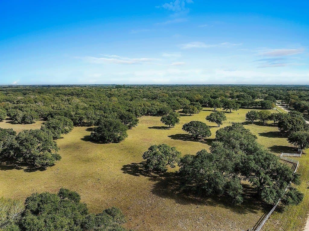 59 acres in Colorado County - photo 25