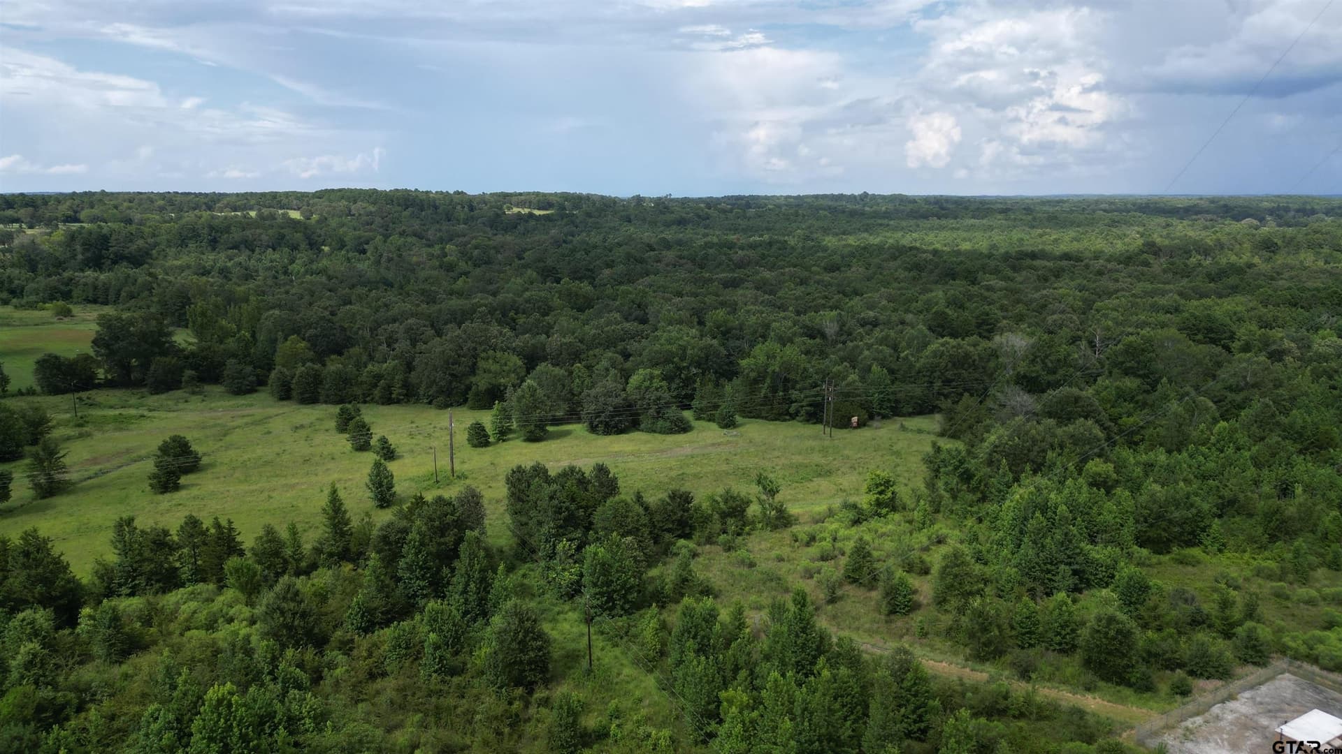 53 acres in Wood County - photo 8