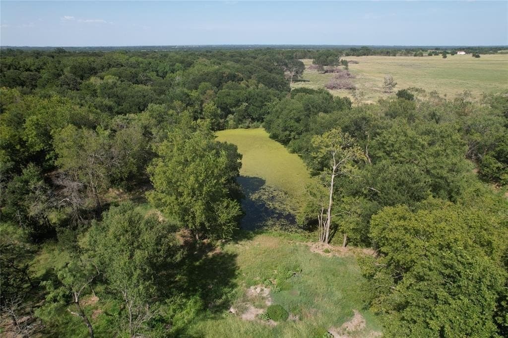 3.6 acres in Navarro County gallery image 4