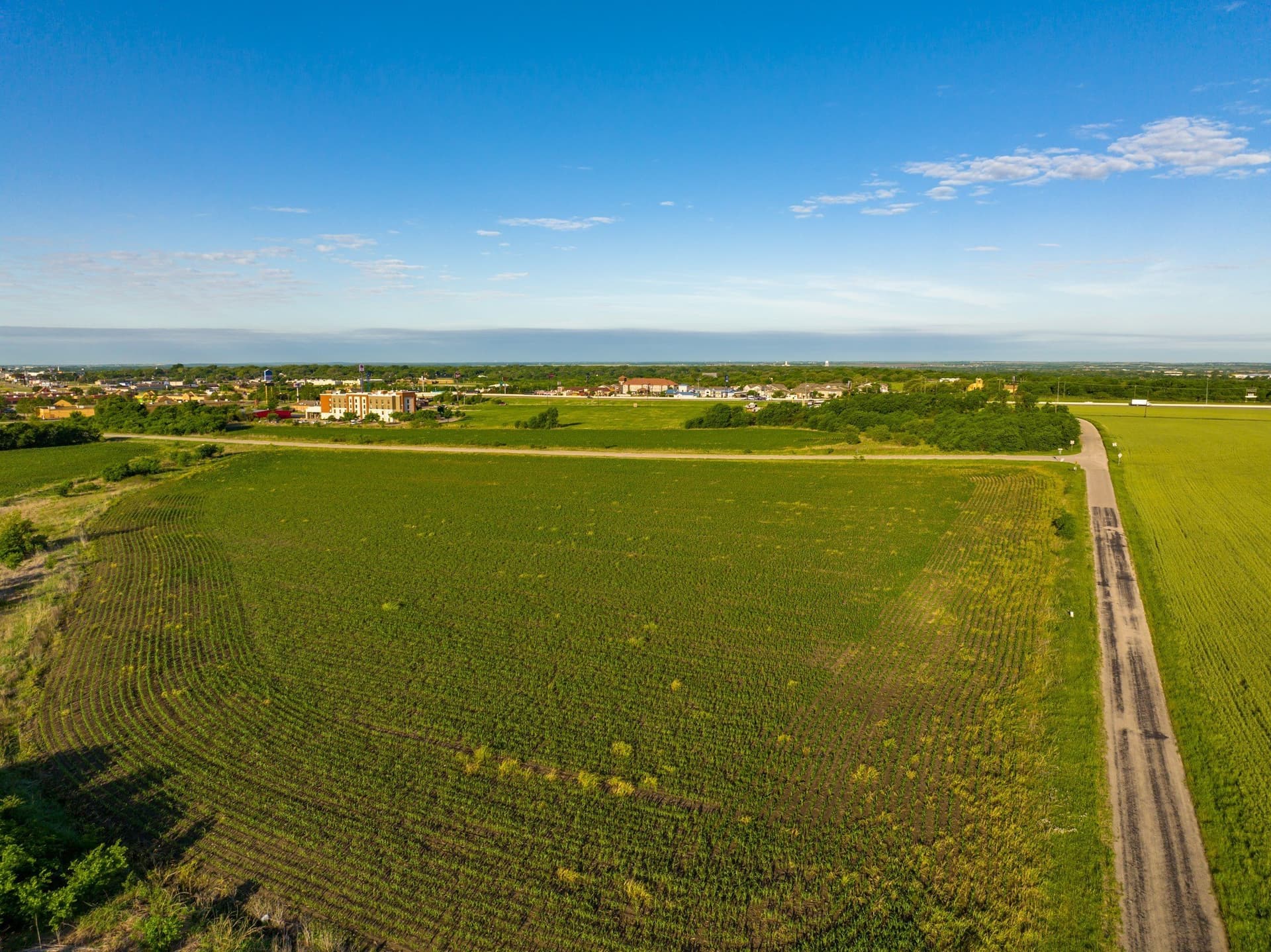 29.22 acres in Hill County - photo 8