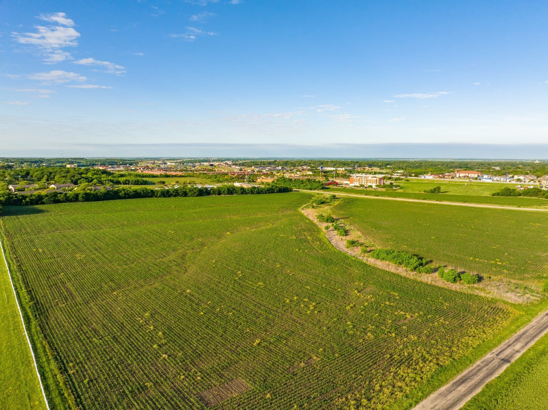 29.22 acres in Hill County - photo 7