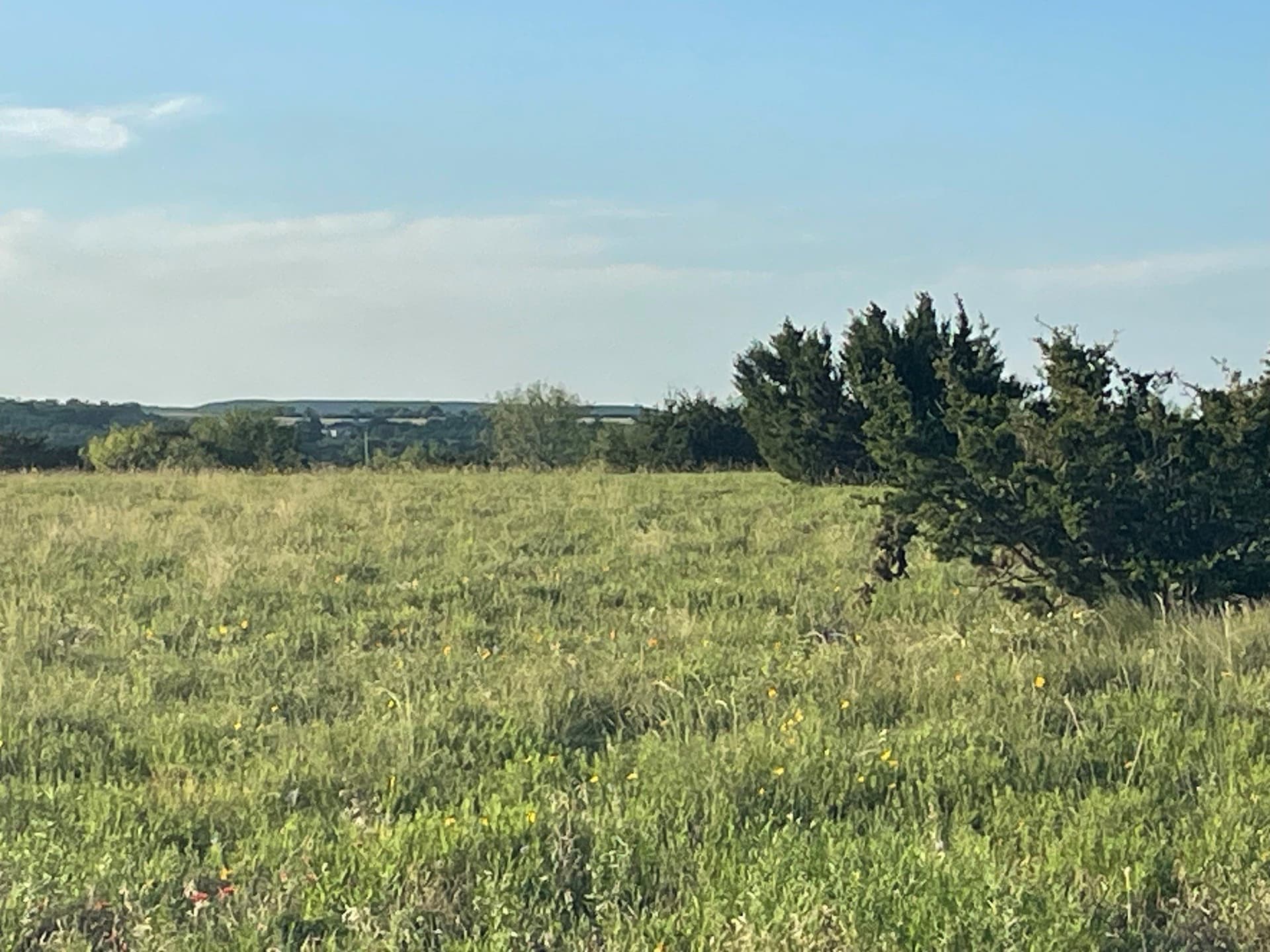 10.01 acres in Hamilton County - photo 4