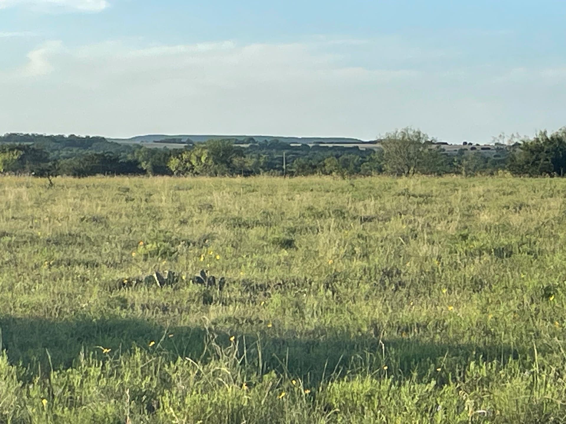 10.01 acres in Hamilton County - photo 7