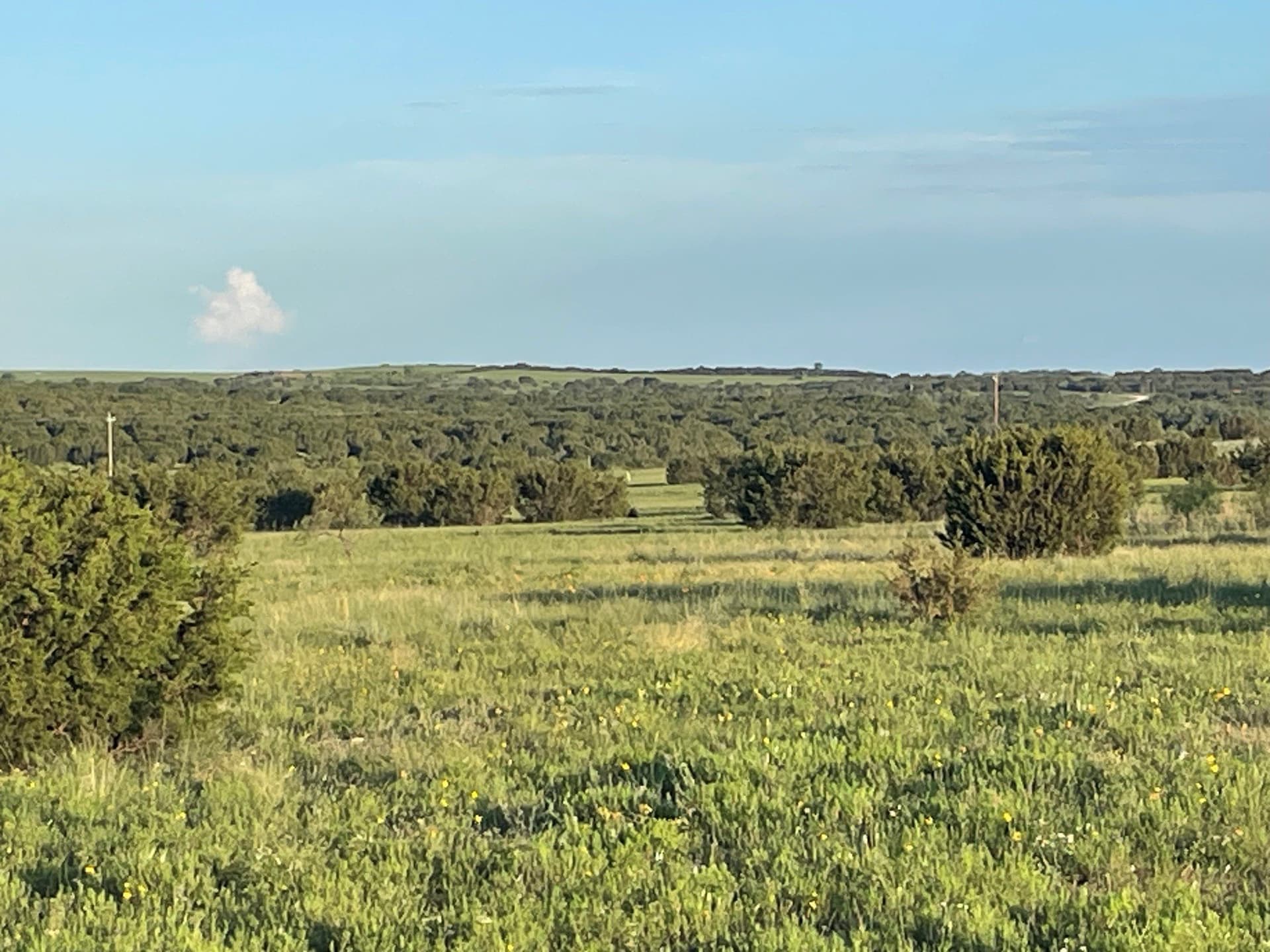 10.01 acres in Hamilton County - photo 14