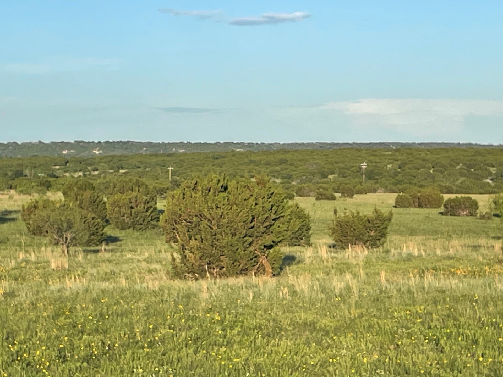 10.01 acres in Hamilton County - photo 5