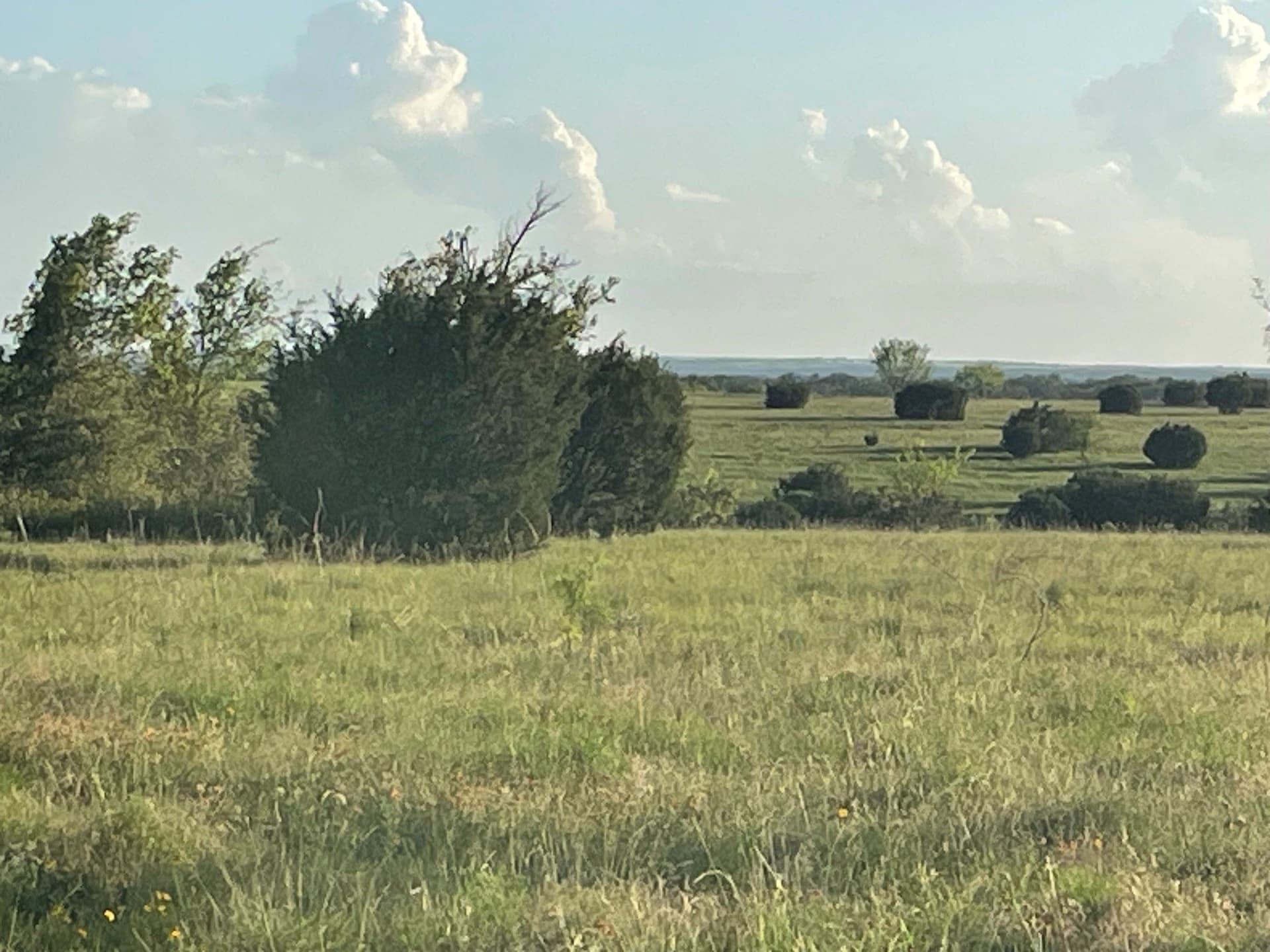 10.01 acres in Hamilton County - photo 6