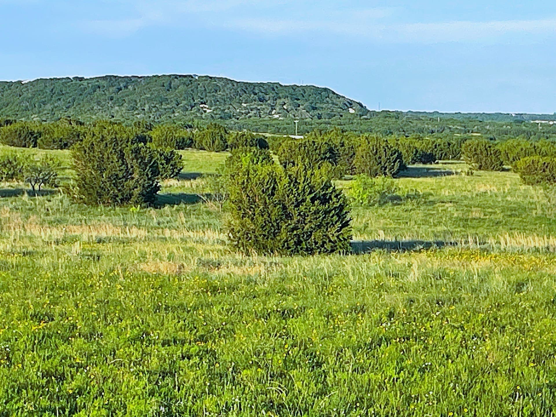 10.01 acres in Hamilton County - photo 3