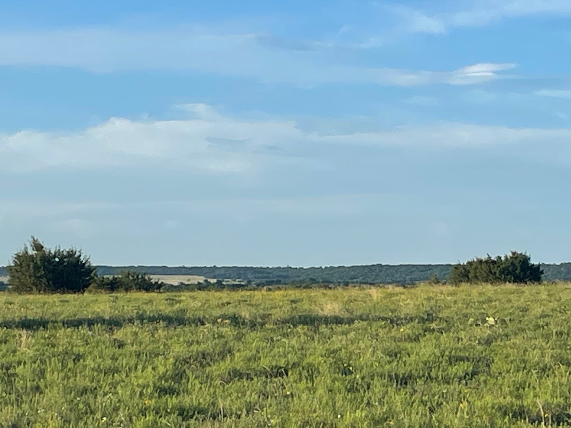 10.01 acres in Hamilton County - photo 9