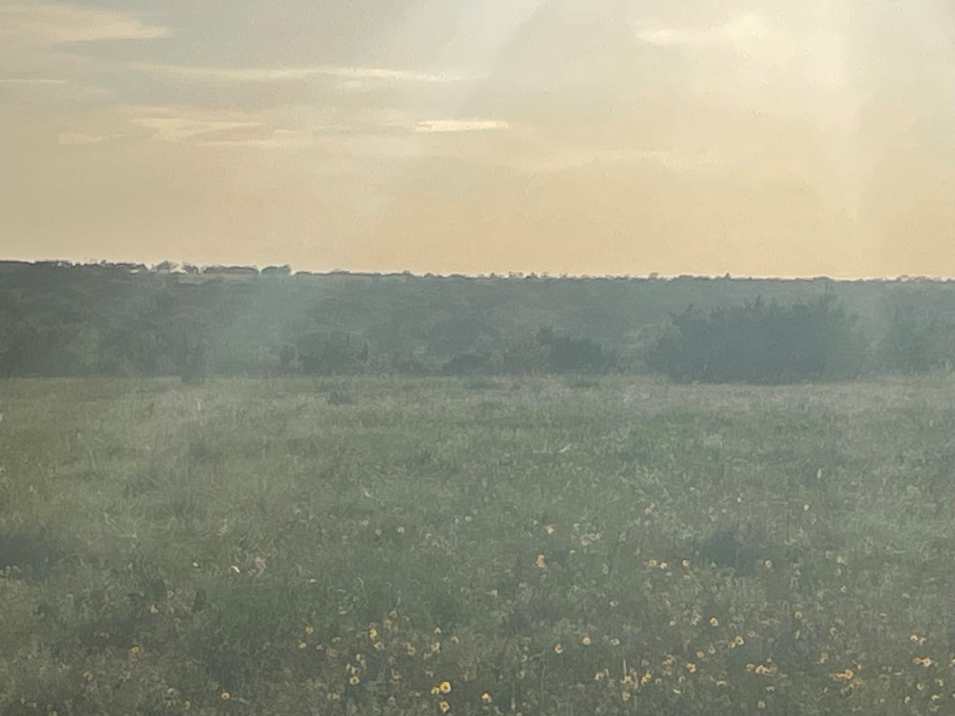 10.01 acres in Hamilton County - photo 10