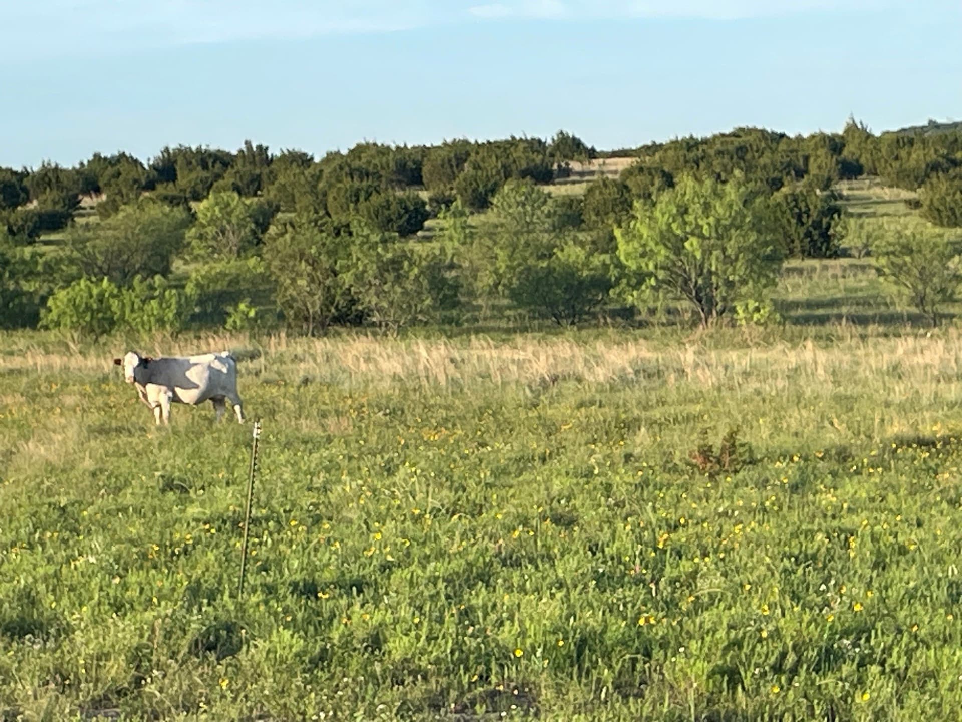 10.01 acres in Hamilton County - photo 11