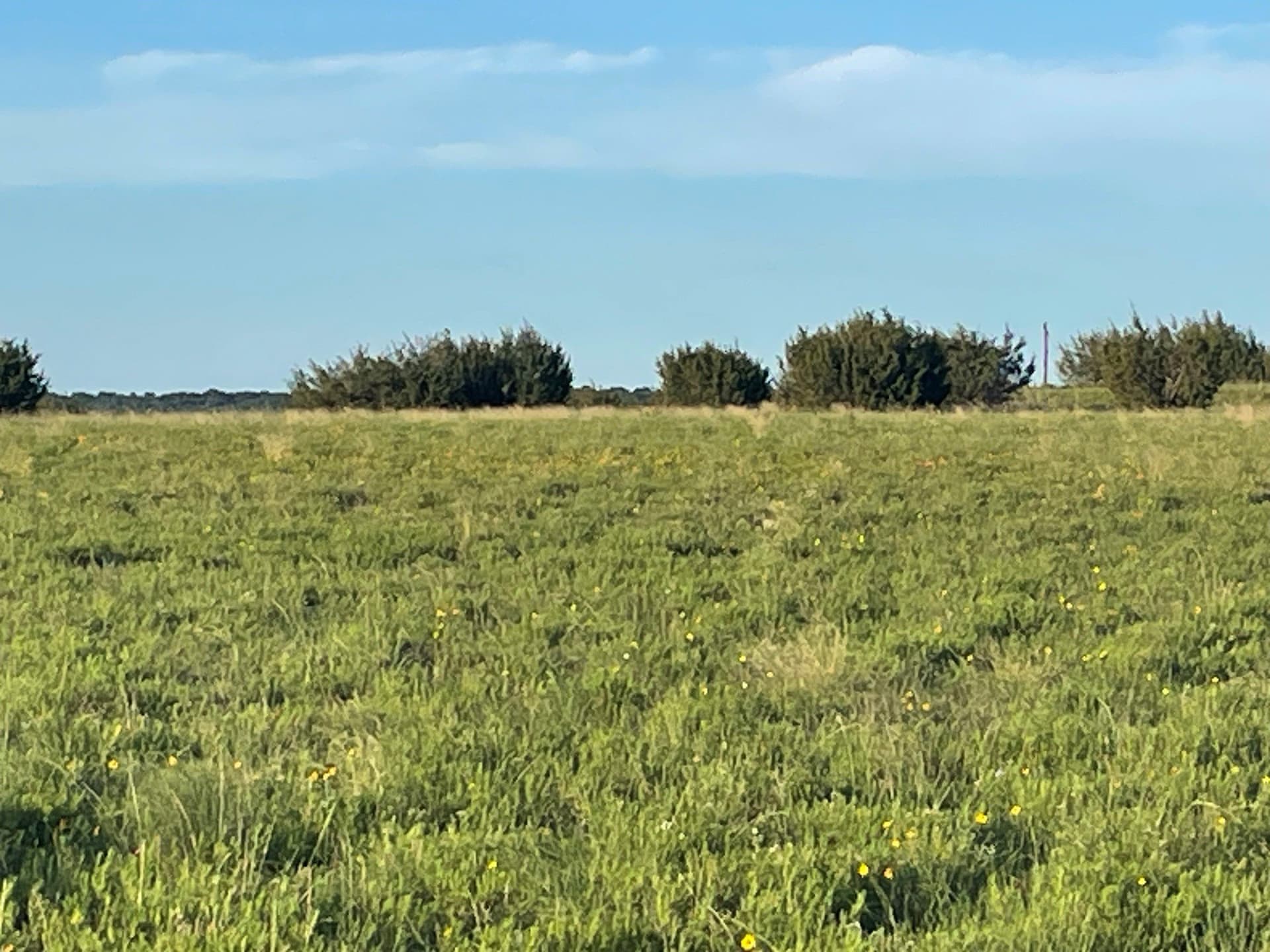 10.01 acres in Hamilton County - photo 8