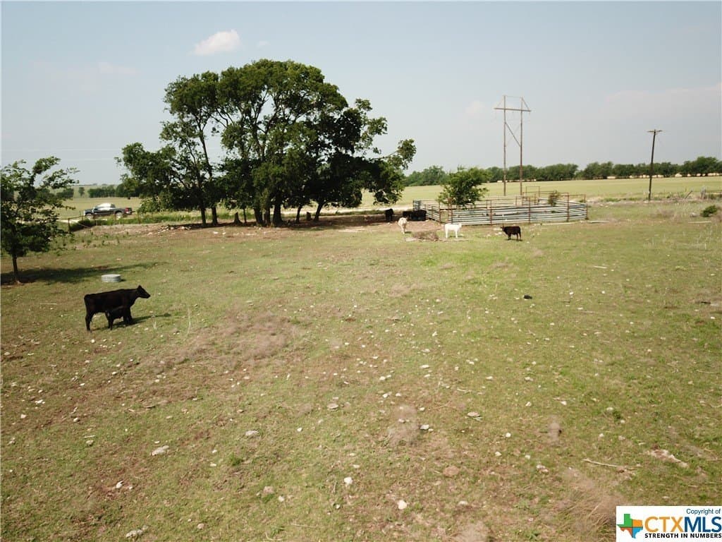 10.1 acres in Coryell County gallery image 3