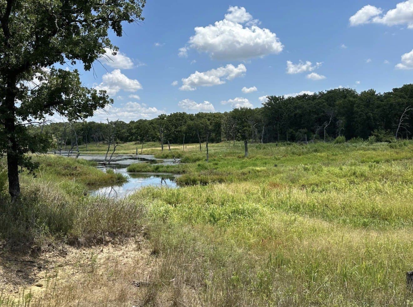 2.04 acres in Montague County - photo 2