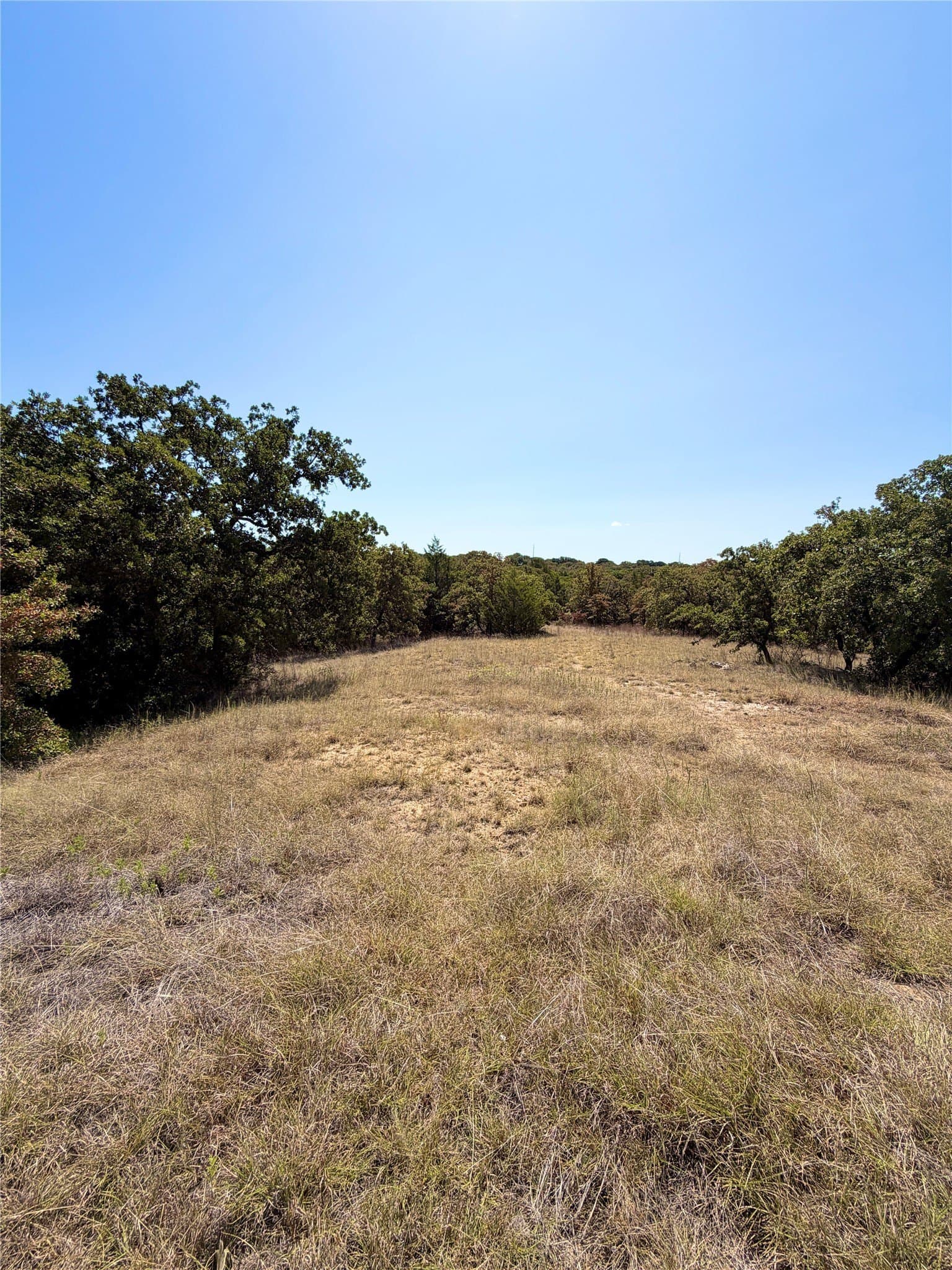 2.04 acres in Montague County - photo 4