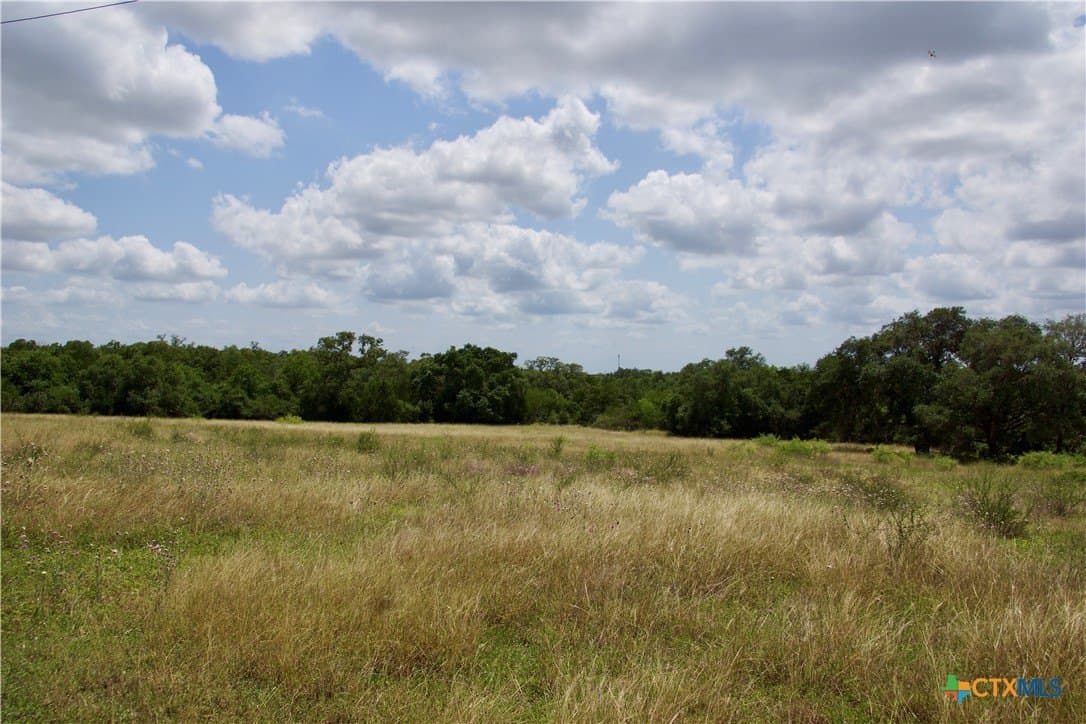 97.2 acres in DeWitt County - photo 15