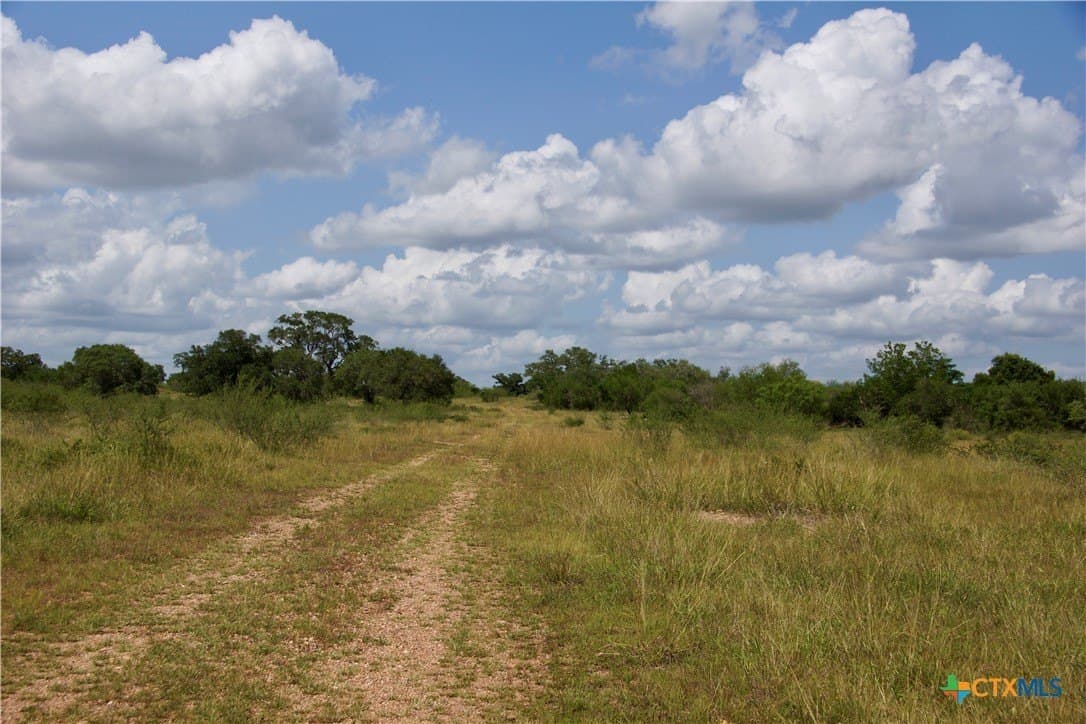 97.2 acres in DeWitt County - photo 30