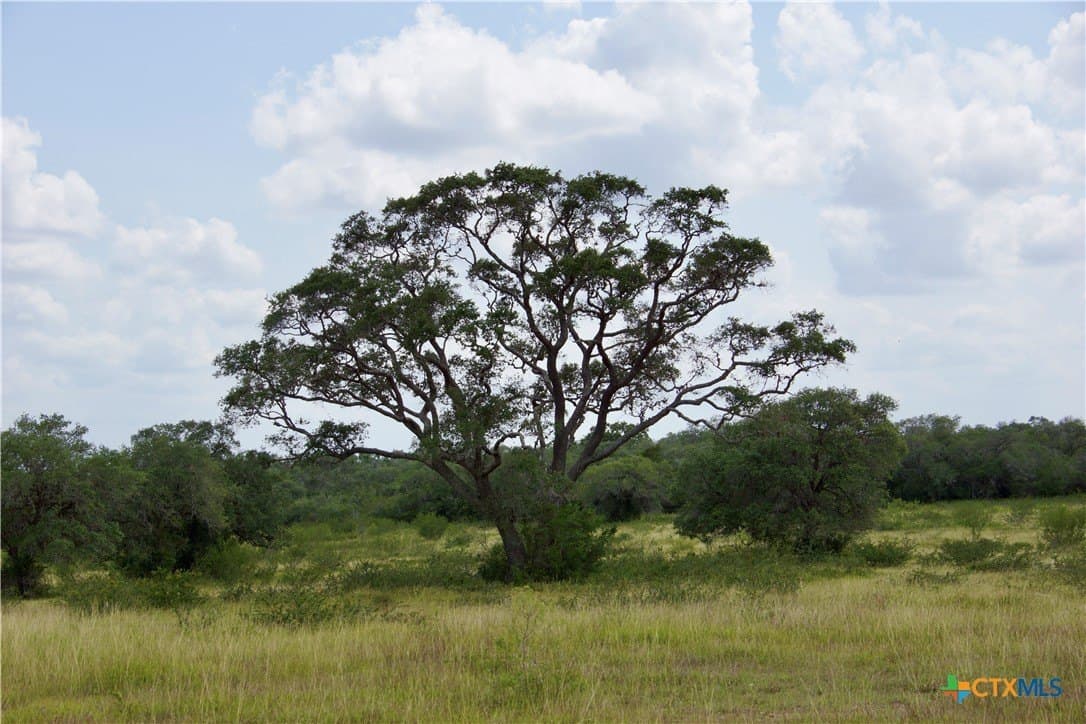97.2 acres in DeWitt County - photo 36