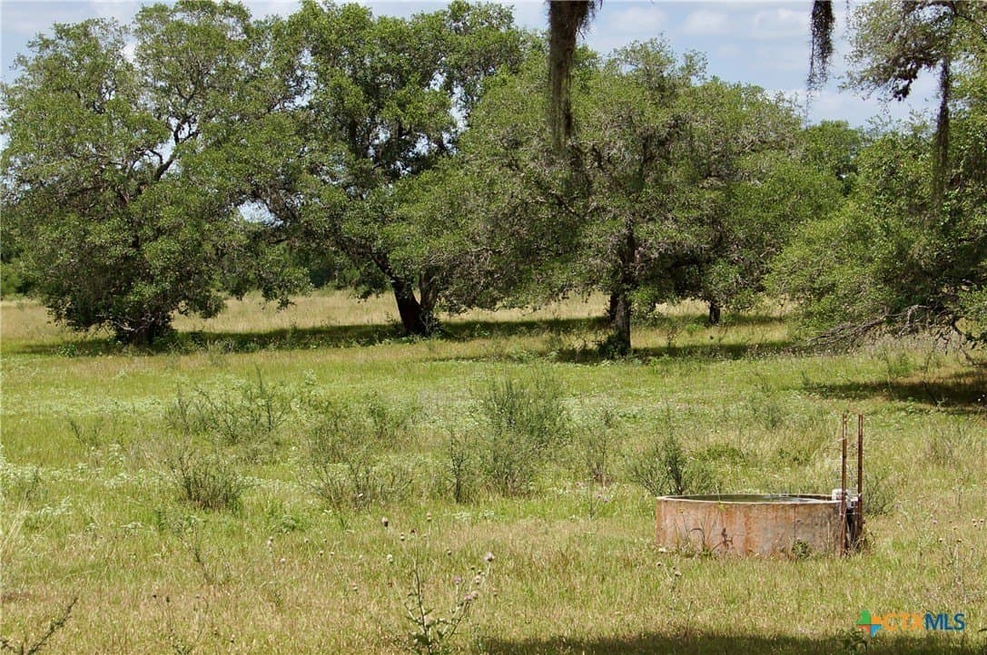 97.2 acres in DeWitt County - photo 6