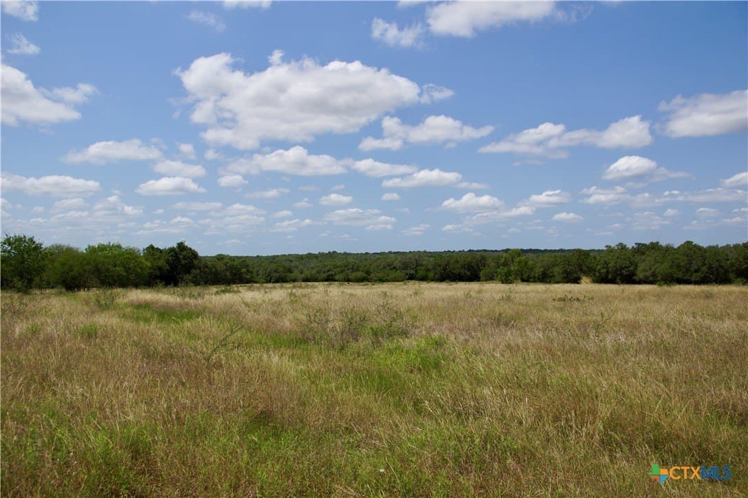 97.2 acres in DeWitt County - photo 4