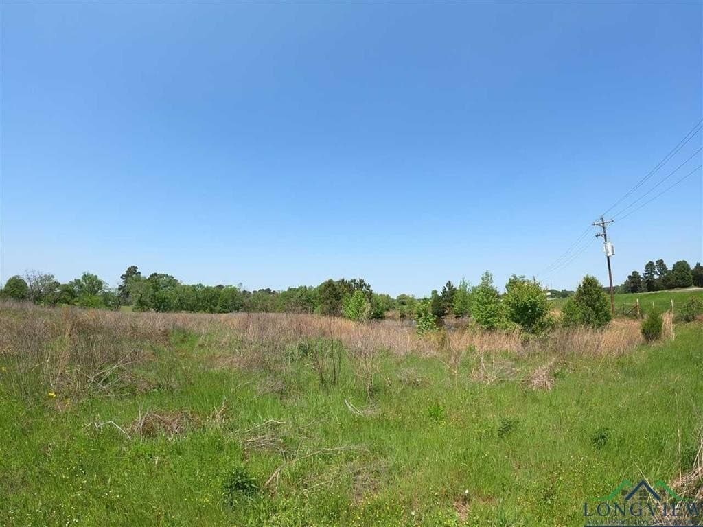 5.5 acres in Gregg County gallery image 3