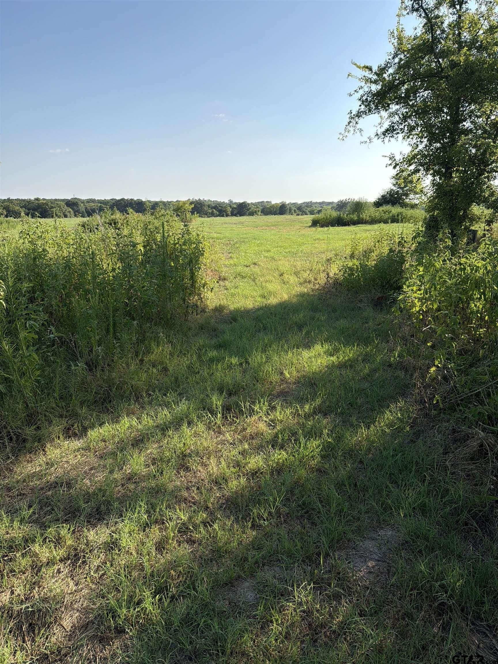 10.02 acres in Van Zandt County - photo 9