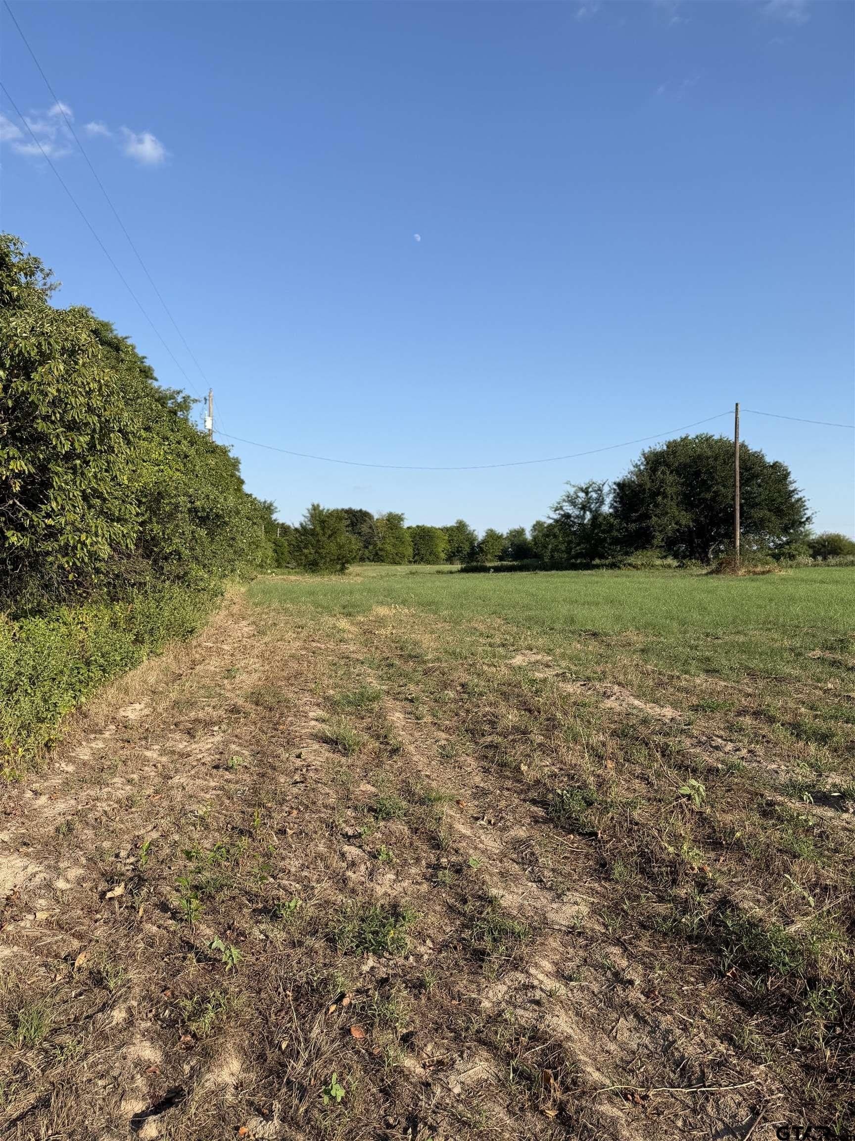 10.02 acres in Van Zandt County - photo 2