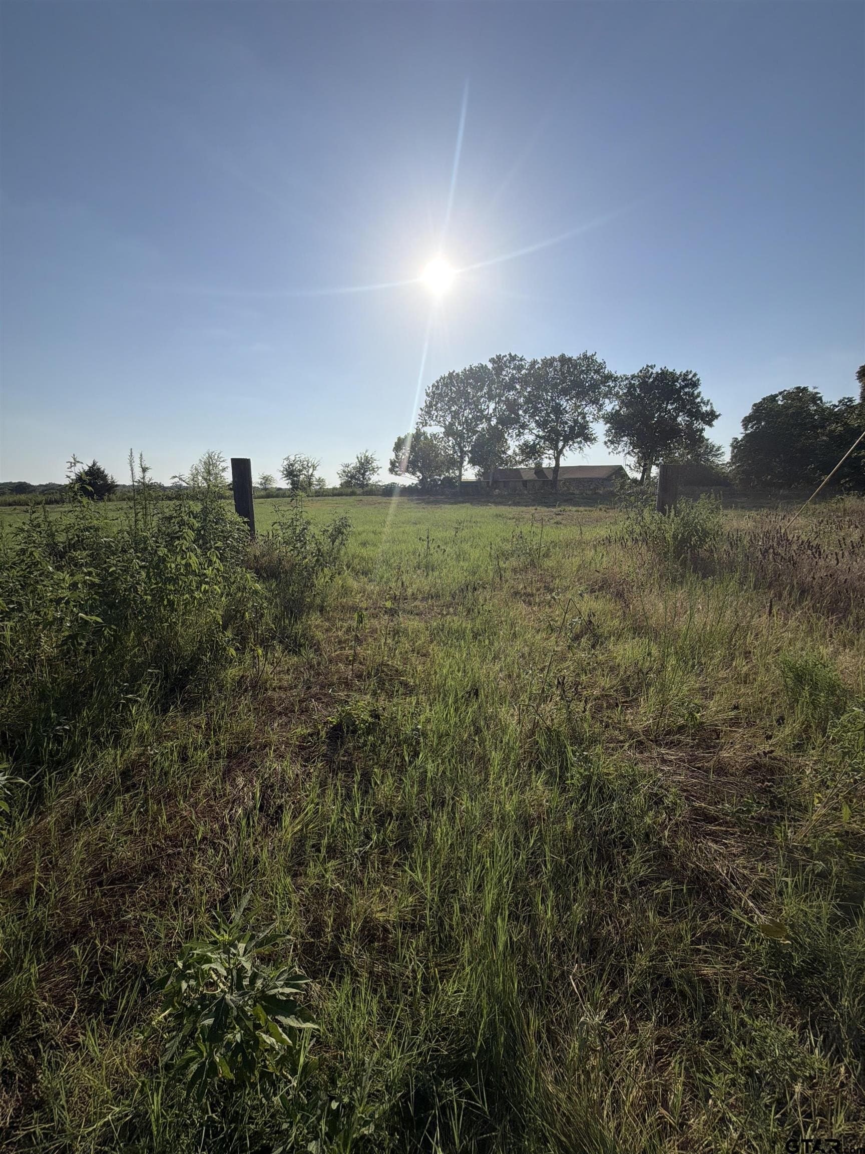 10.02 acres in Van Zandt County - photo 5