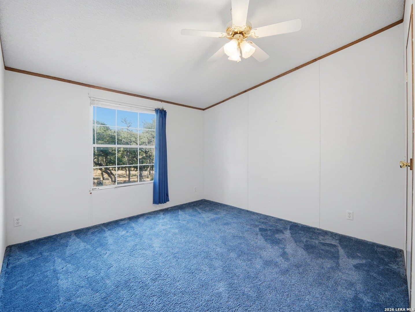 23.99 acres in Hays County - photo 24
