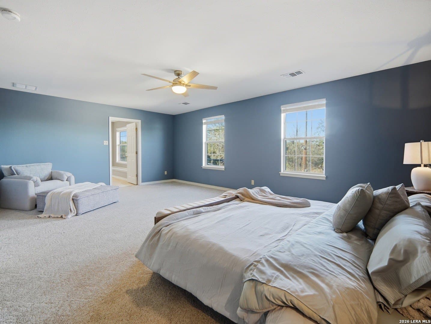 23.99 acres in Hays County - photo 10