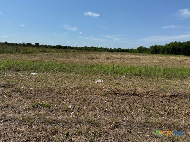 11.1 acres in Guadalupe County gallery image 3