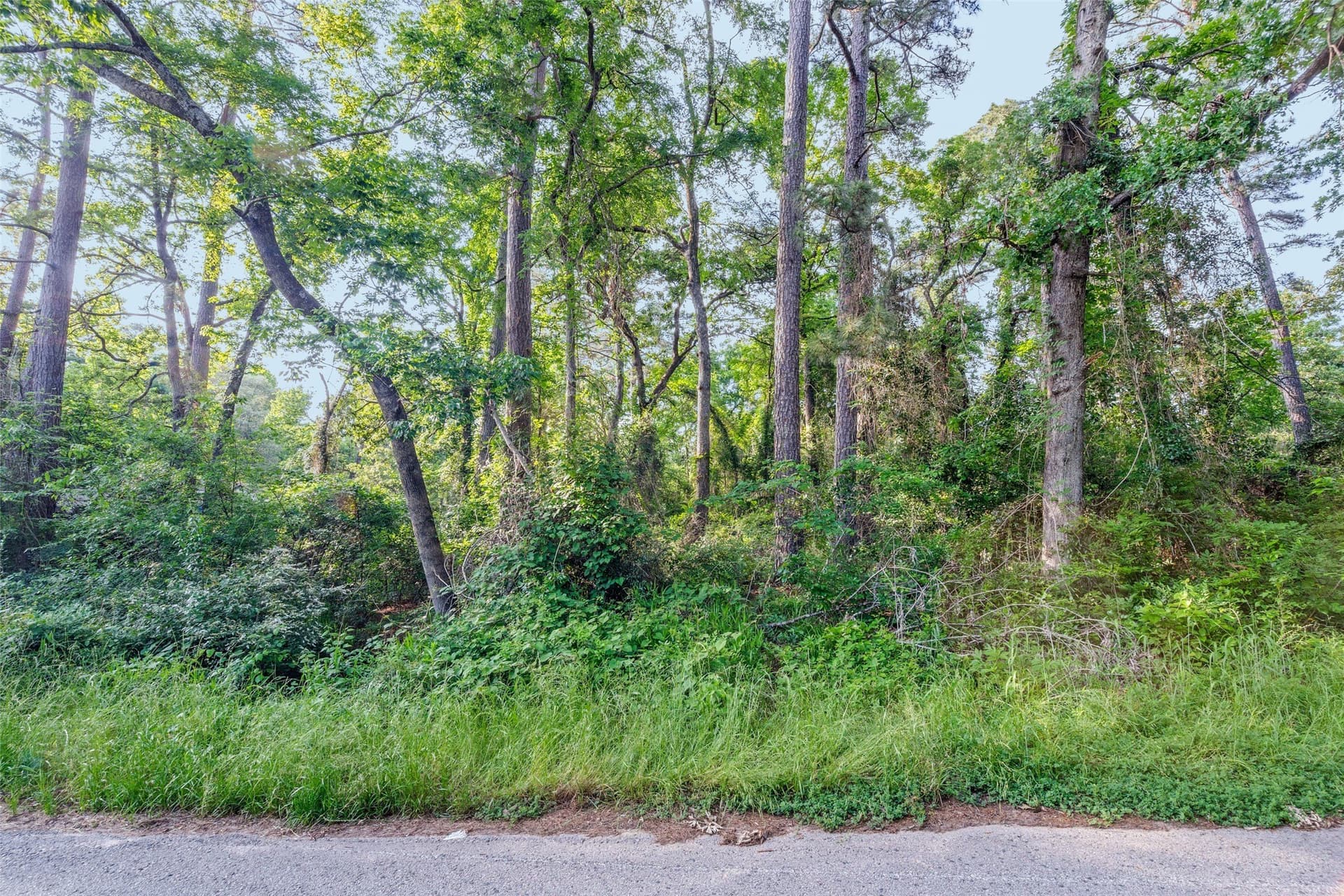 0.17 acres in Henderson County - photo 3