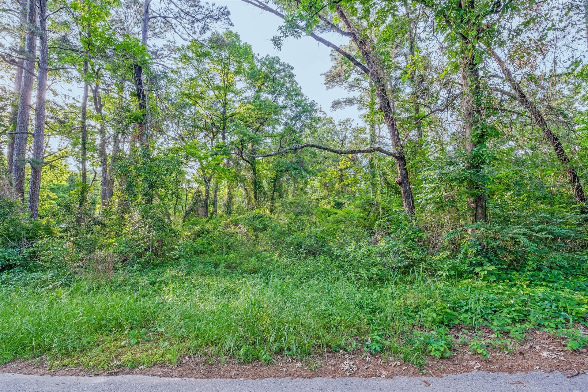 0.17 acres in Henderson County - photo 6