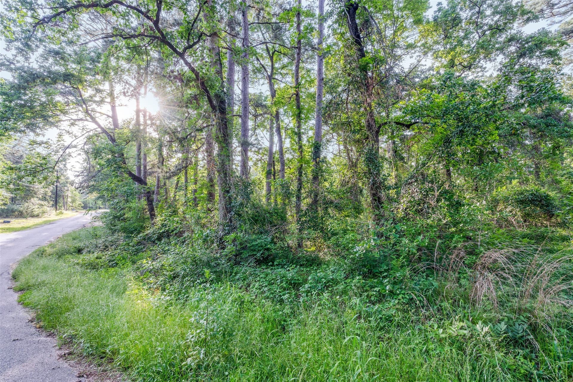0.17 acres in Henderson County - photo 4