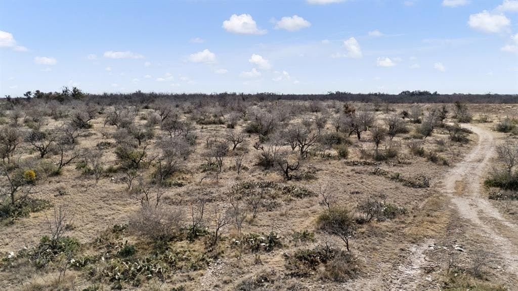 693.5 acres in Concho County gallery image 4