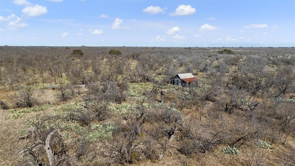 693.5 acres in Concho County featured view