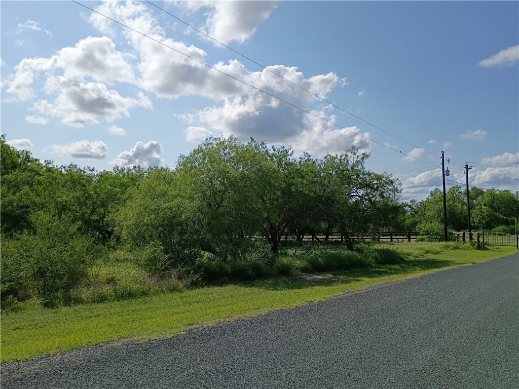3.04 acres in Live Oak County gallery image 2