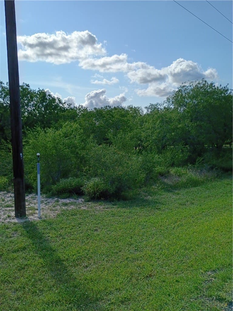 3.04 acres in Live Oak County - photo 11