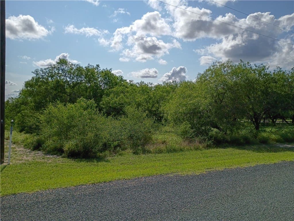 3.04 acres in Live Oak County gallery image 3