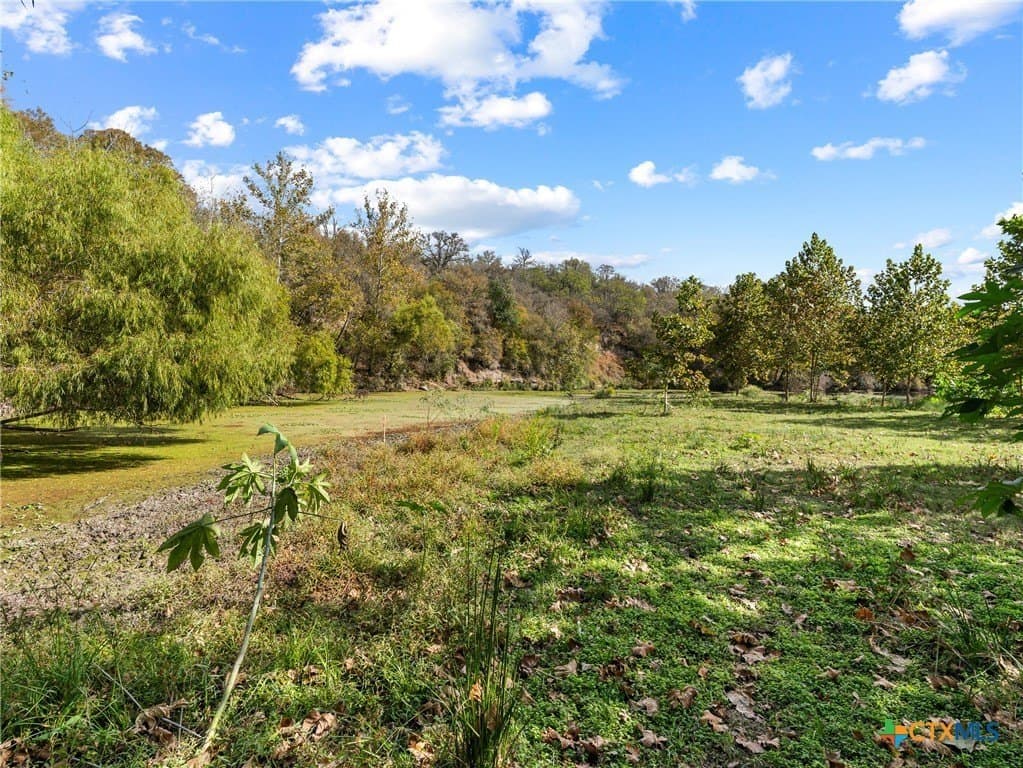 12.72 acres in Guadalupe County - photo 19