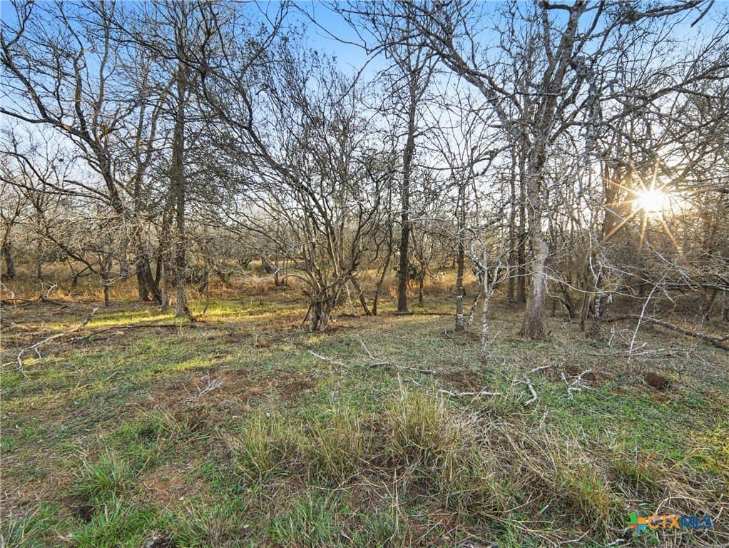 12.72 acres in Guadalupe County - photo 8