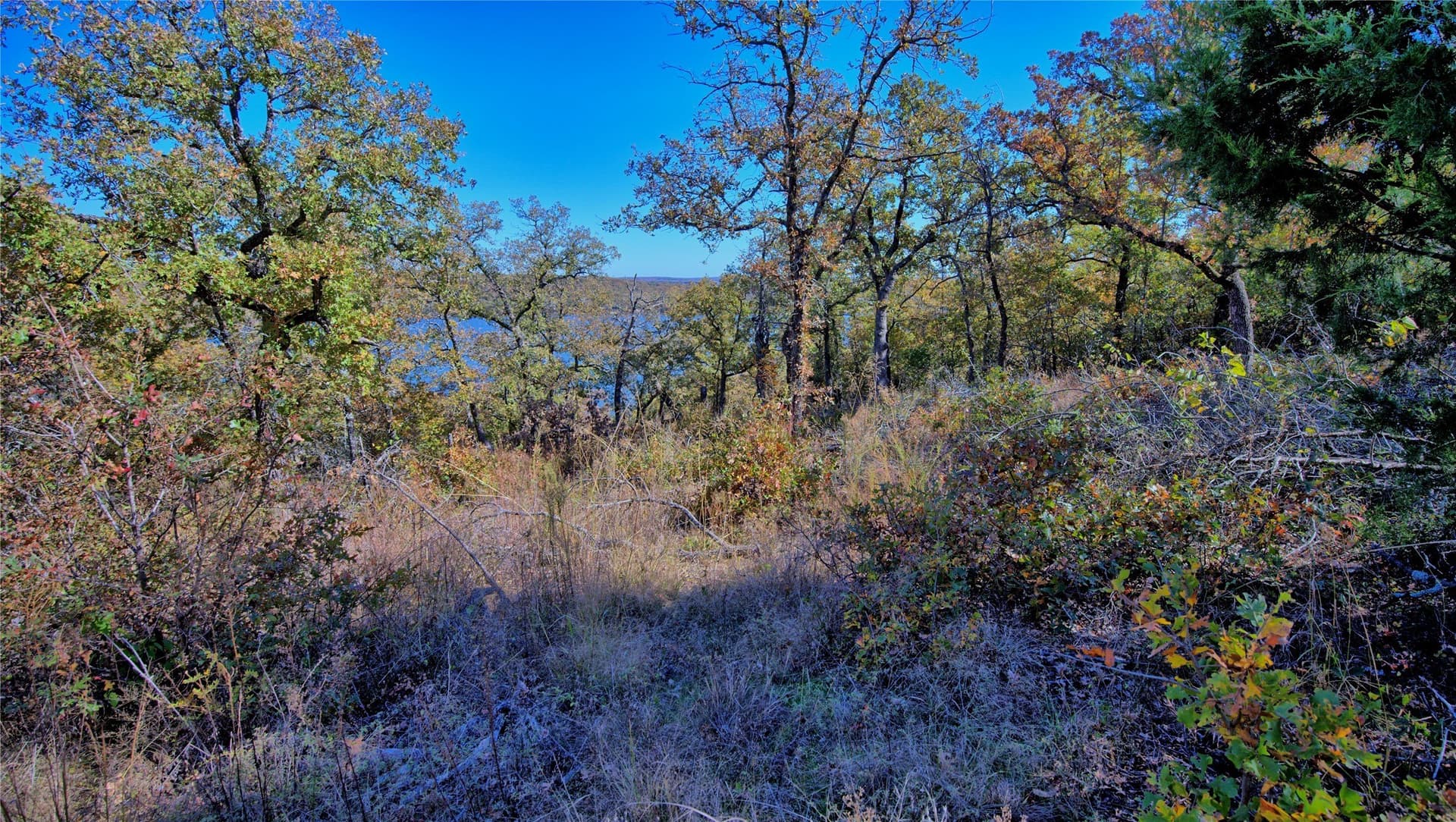 1.17 acres in Montague County featured view
