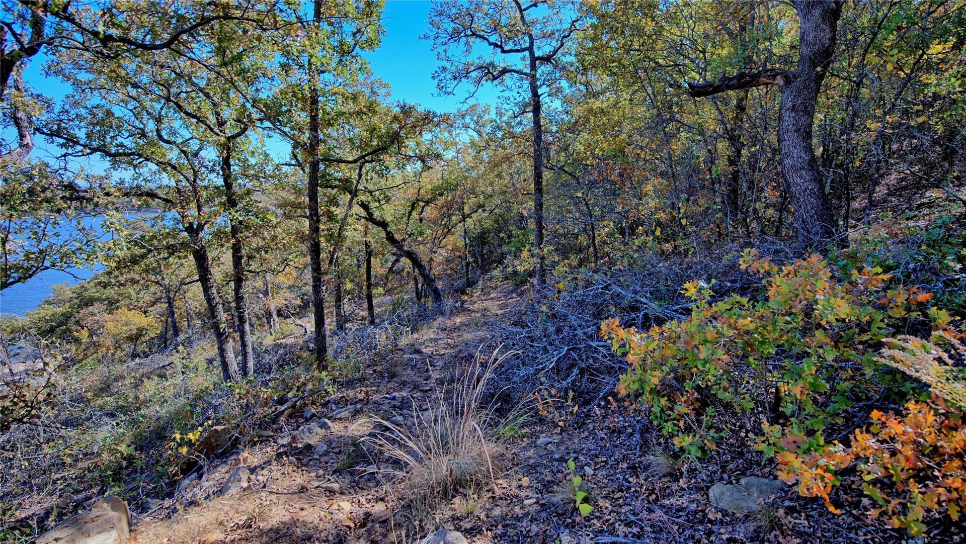 1.17 acres in Montague County - photo 18