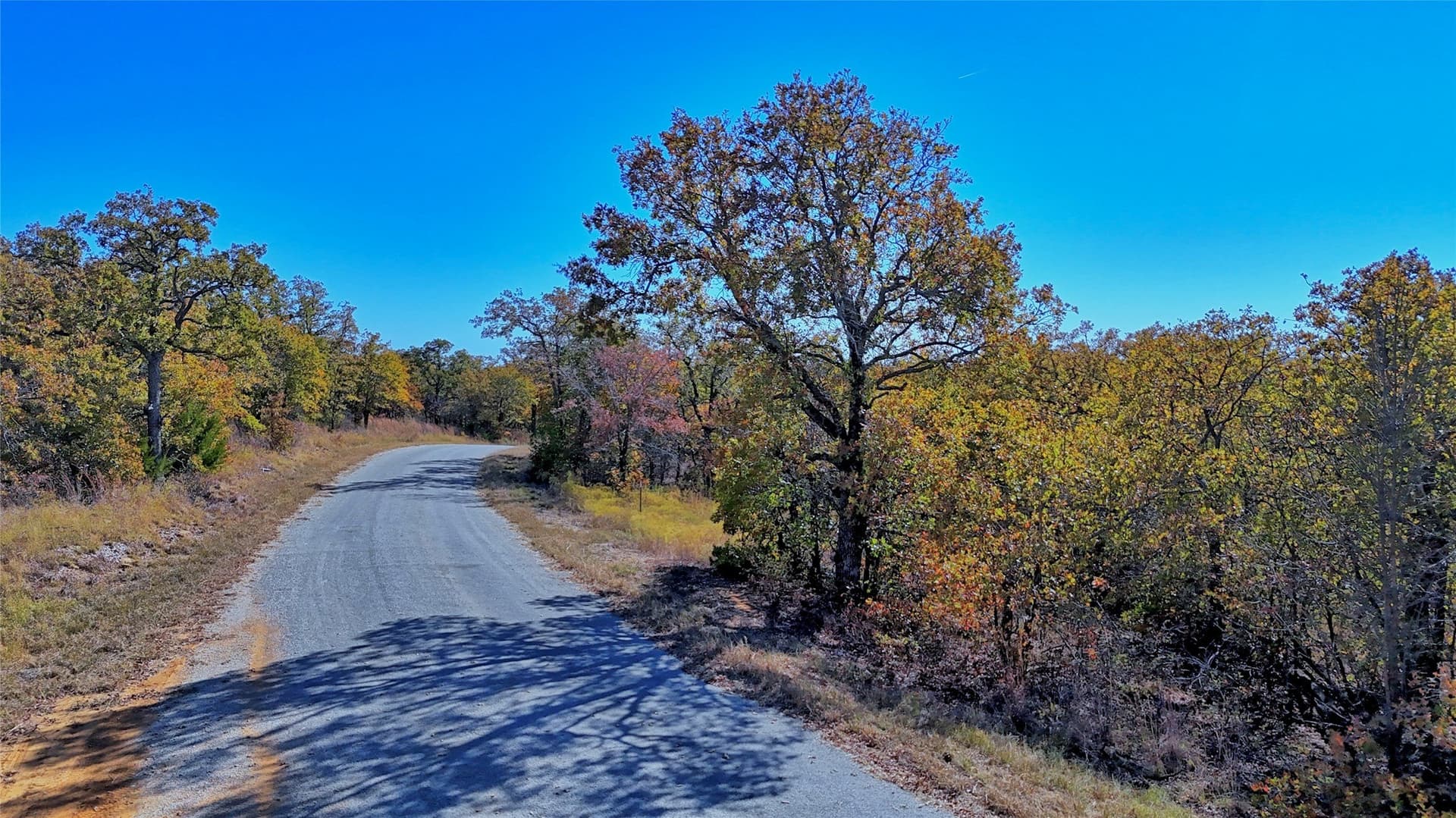 1.17 acres in Montague County gallery image 2