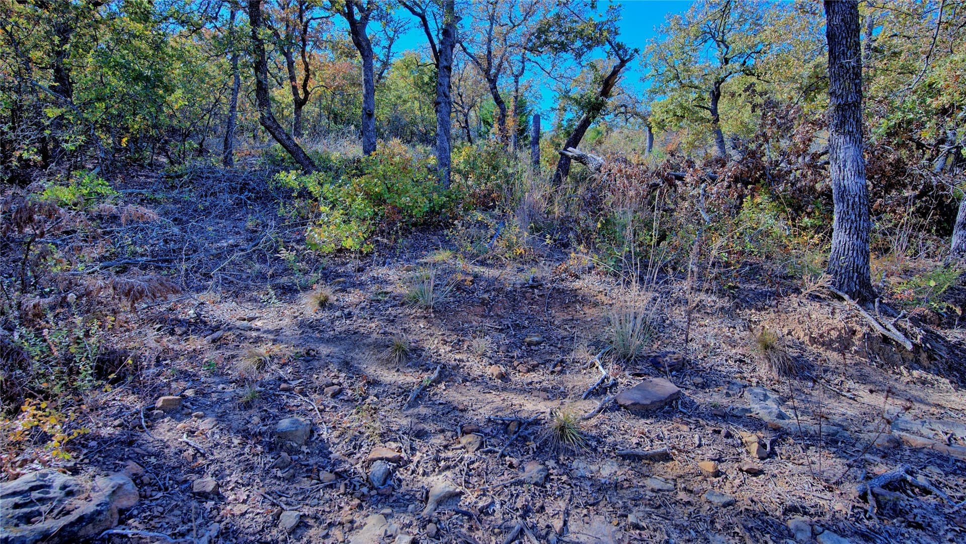 1.17 acres in Montague County gallery image 3