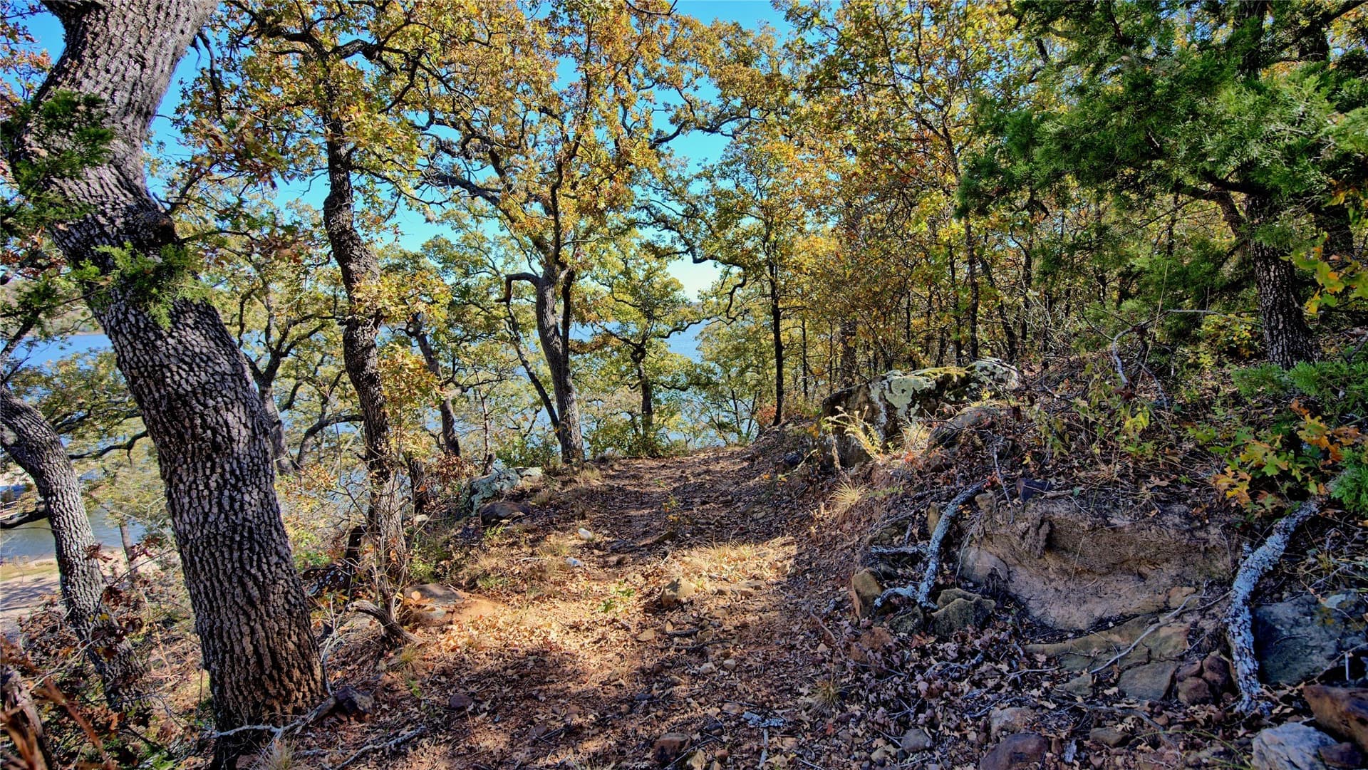 1.17 acres in Montague County - photo 21