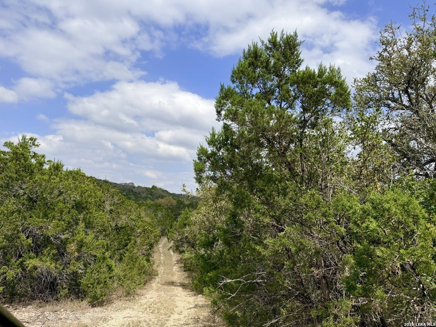 5.6 acres in Bexar County - photo 14