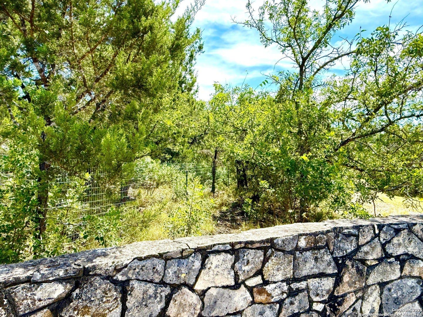 5.6 acres in Bexar County - photo 9